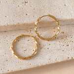 تحميل الصورة في عارض المعرض، Gio Circle Gold Earrings – 18K Gold-Plated Waterproof
